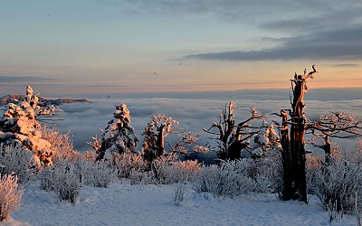     태백에  12일 아침입니다