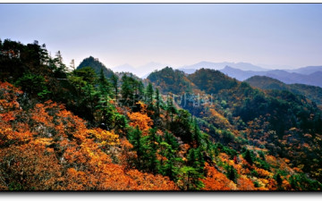 칠형제봉의 가을(Gayasan, 1,430m)