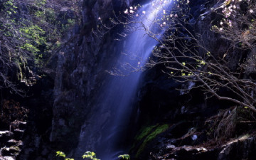 가지산 학소대의 봄