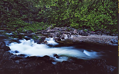 지리의 봄 - 디테일컷 링크 추가