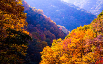 지리산계곡의 가을