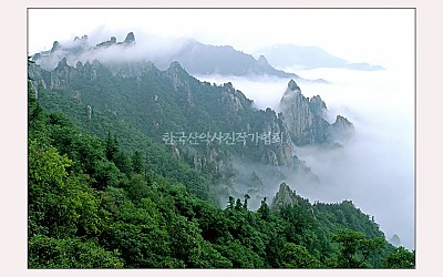 공룡운해