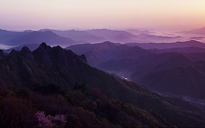 구봉의 봄