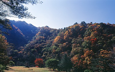 폐사지의 아침