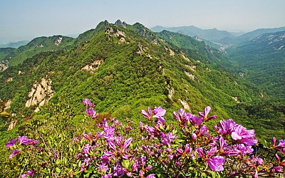 계룡산