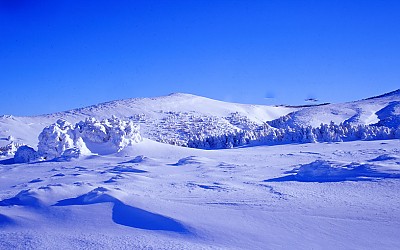 한라산  현상 했습니다