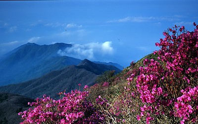 지리산의 미