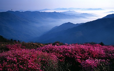 지리산의 미