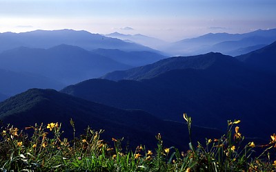 지리산의 여름