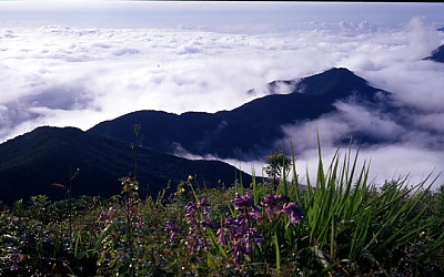 지리산의 미