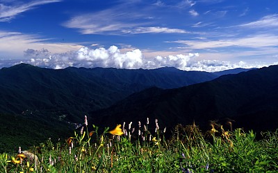지리산의 여름