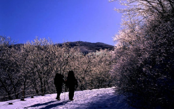 노고단 하산길에 뒤돌아서서 빙화역광