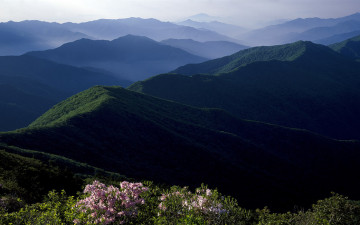 노고단 철쭉필때