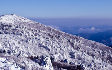 눈폭탄 맞은 덕유...