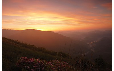 단산의 여명