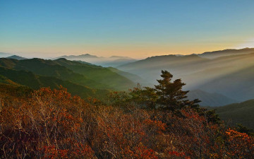 만복대길의 추경