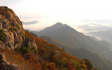 올 가을의 업적.