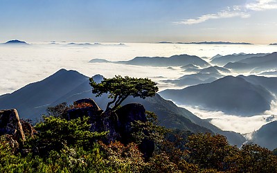 대둔산