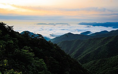 이른 아침.