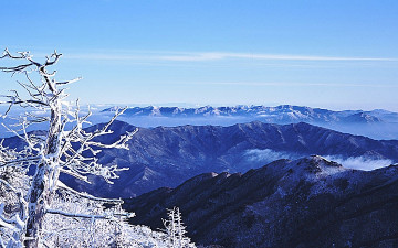 어느 날씨 좋던 날...