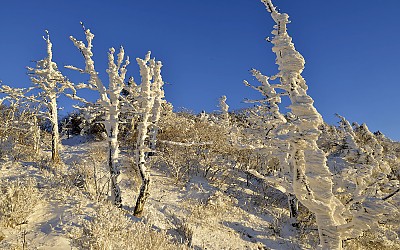 덕유산에  오후