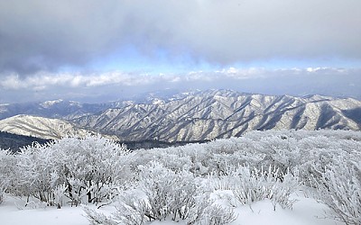     지난달 덕유에서