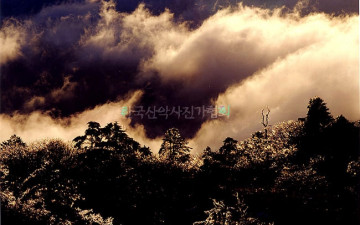 덕유산 빙화와 운해