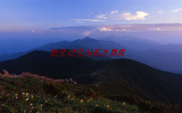 덕유산에 원추리.