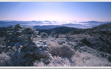 손가락이 얼던날