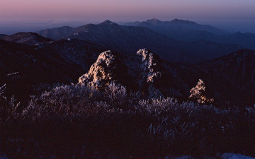 지나간 겨울....