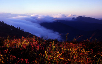 잠깐 보여준 순간