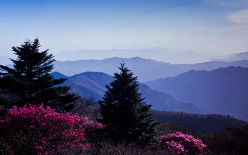 요즘 필름 스캔을 하고 있어요