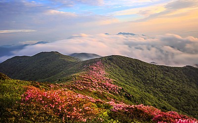 덕유평전 운해
