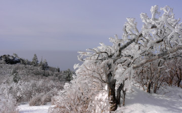 김기택 전문 촬영 포인트...