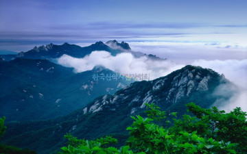 도봉산의 여름2