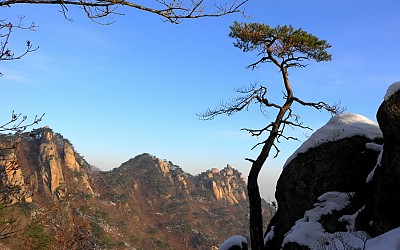 도봉산에 예쁜 송.