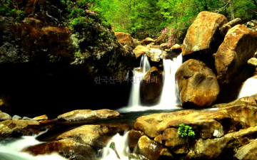 도장골의 무명폭포