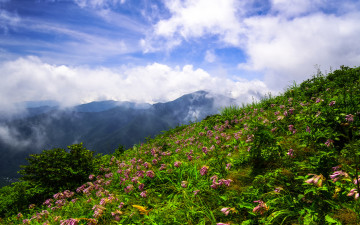 고리봉에서 만복대를 바라본 설경