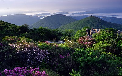 무등산의 봄