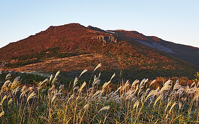 파노라마
