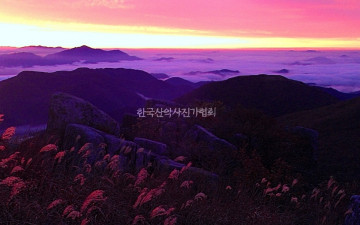 무등에서 광양 백운산과 영암 월출산을...