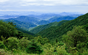 바다가 보이는 지리
