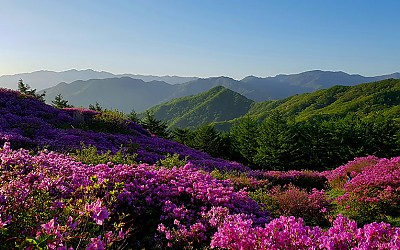 5.14 바래봉에서 ~~