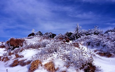 한라산 등반중