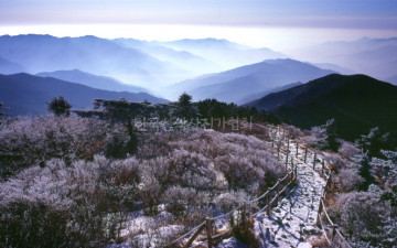 상고대 사이로 난 작은 길을 따라..(석찬 부이사장님  뽐뿌용,,)