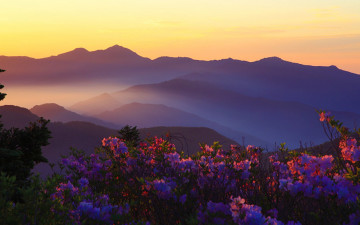 오늘아침 반야봉 알출