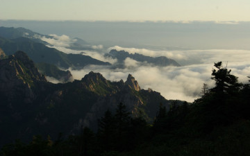 소청봉   에서 본 운해