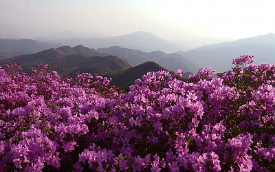 봉화산