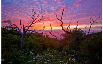 ^^ 도움 부탁드립니다.