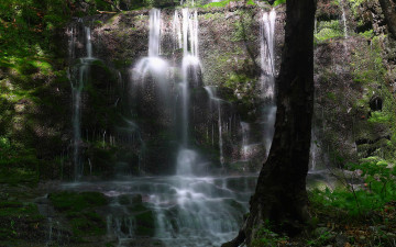 원시 비경을 찾아